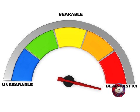 Meter - Singapore Airlines